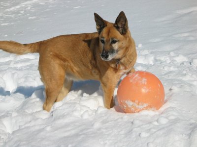 Feb.25,2003_46