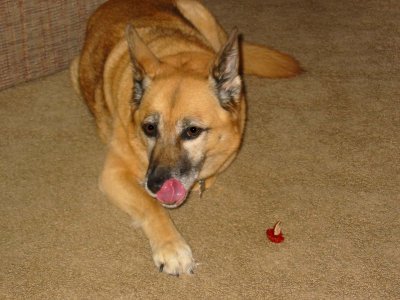 Feb.7,2003_604