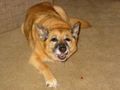 Feb.7,2003_605