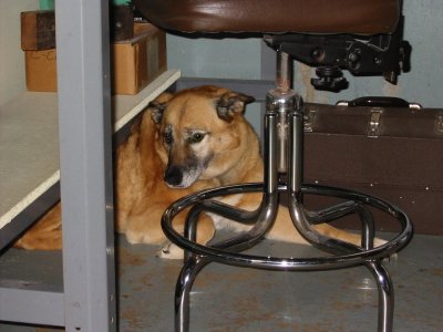 Jun.5,2002_32