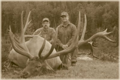 Elk old photo