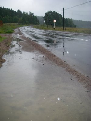 IMGP0242.jpg