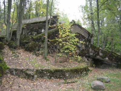 IMG_3633.jpg