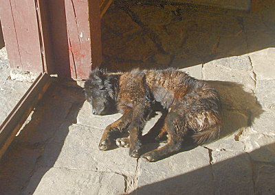 DSCF1117_2.jpg