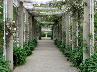 Huntington Gardens