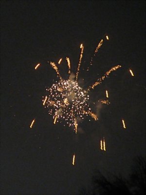 3078.jpg