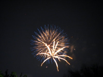 3079.jpg