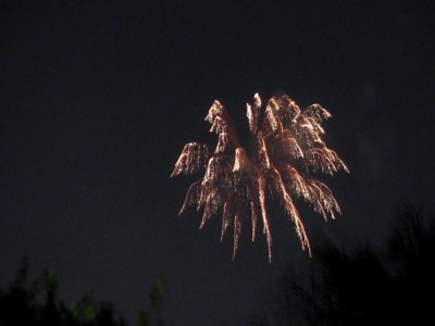 3093.jpg