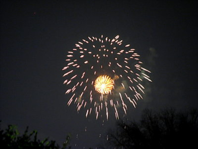 3094.jpg