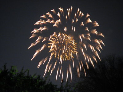 3110.jpg