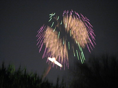 3121.jpg