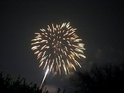 3144.jpg