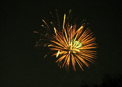 3145.jpg