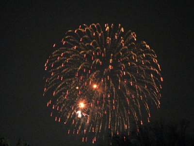 3154.jpg