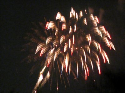 3179.jpg