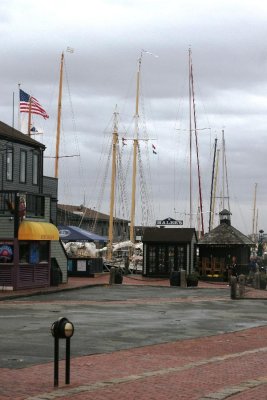 Quilt Show and Newport