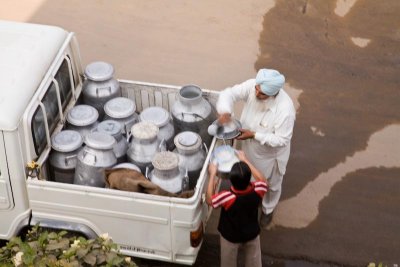 Indian milk delivery