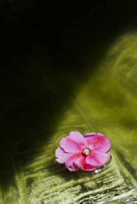 g5/00/738400/3/98858621.QTLhA2u1.jpg
