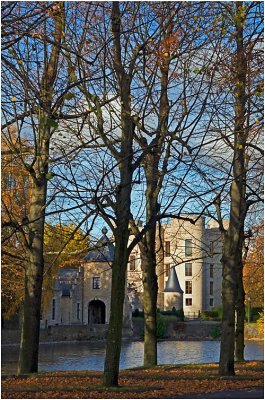Van Ham Castle and five lime trees