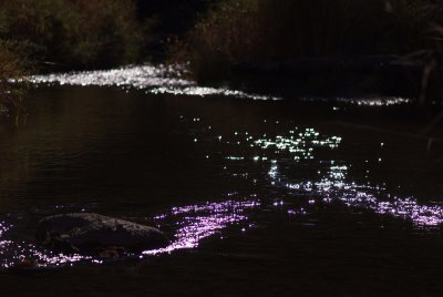 East Humber River