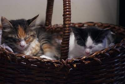 Together