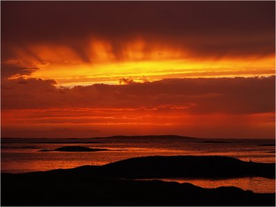 Coastal red