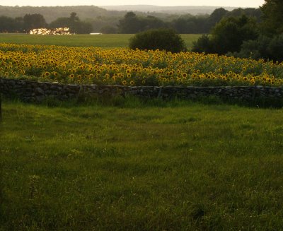 Buttonwood Farms, Griswold, CT