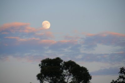 Poway 081408.JPG