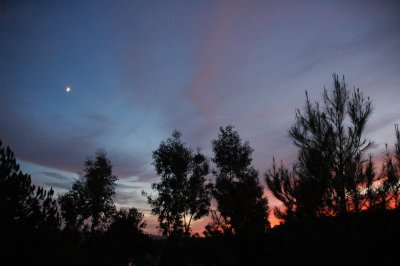 Backyard 092806.JPG
