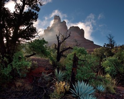 Sedona Mainstays