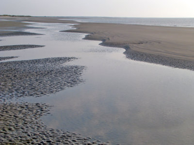g5/00/99100/3/98503138.HNXyUFiA.jpg