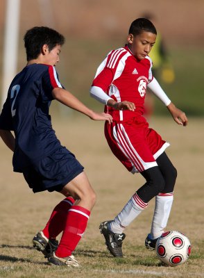 _D3C7008.jpg