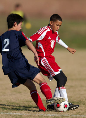 _D3C7009.jpg