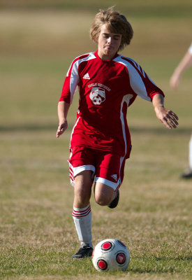_D3C7229.jpg