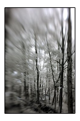 Some Radnor Lake IR Images - June '08