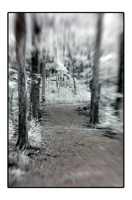DSC_2206.jpg
