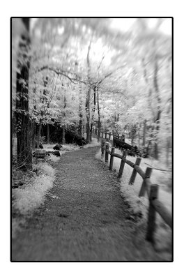 DSC_2255.jpg