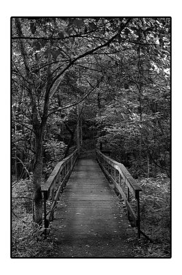 _D3C9236bw.jpg