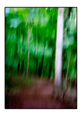 _D3C9246.jpg