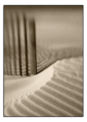 beach_pics