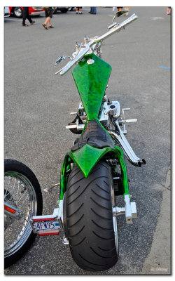 _BCH6979w.jpg