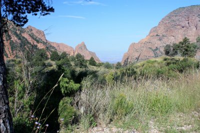 The Window - Chisos Basin