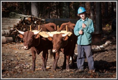 Logging with Oxen