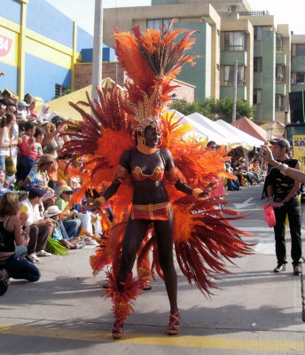 Carnaval de Barranquilla 2009
