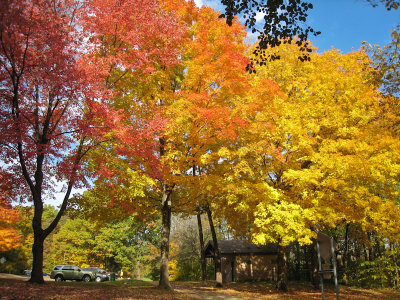 More autumn colours