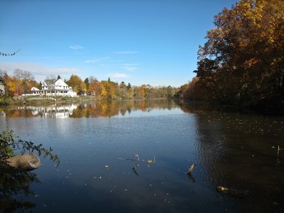 Mill Race reflections