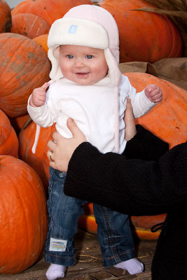 Pumpkin Picking