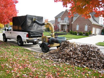 Leaf-eater