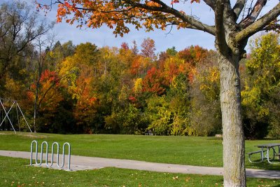 Autumn colours