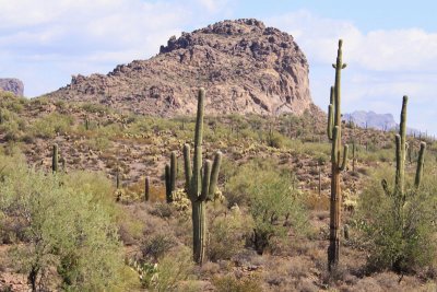 Desert Hiking